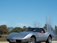 1979 Chevrolet Corvette for sale in Riverhead, New York (ID-125670)