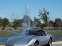 1979 Chevrolet Corvette for sale in Riverhead, New York (ID-125670)