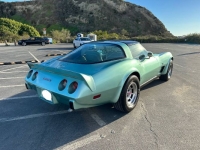 1979 Chevrolet Corvette for sale in Michigan (ID-126243)