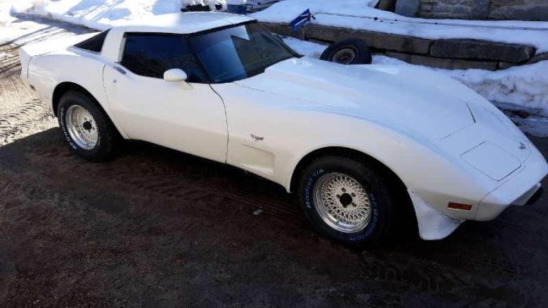 1979 Chevrolet Corvette for sale in Michigan (ID-126376) 1979 Chevrolet Corvette for sale in Michigan (ID-126376)