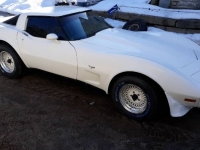 1979 Chevrolet Corvette for sale in Michigan (ID-126376)