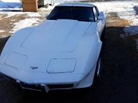 1979 Chevrolet Corvette for sale in Michigan (ID-126376)