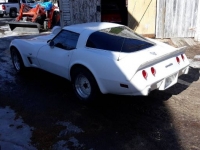 1979 Chevrolet Corvette for sale in Michigan (ID-126376)