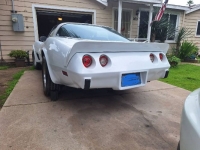 1979 Chevrolet Corvette for sale in Michigan (ID-126655)