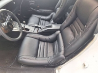 1979 Chevrolet Corvette for sale in Michigan (ID-126655)