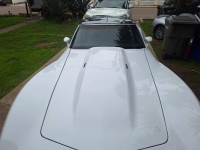 1979 Chevrolet Corvette for sale in Michigan (ID-126655)
