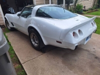1979 Chevrolet Corvette for sale in Michigan (ID-126655)