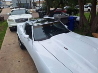 1979 Chevrolet Corvette for sale in Michigan (ID-126655)