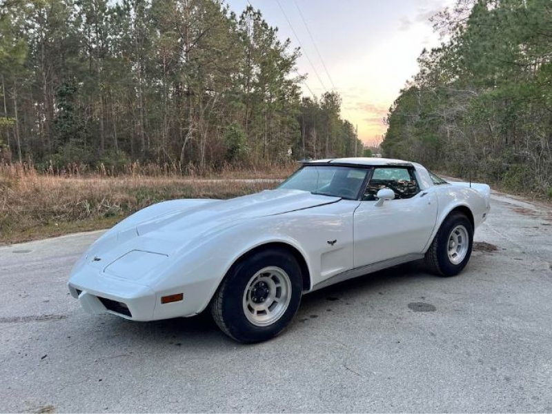 1979 Chevrolet Corvette for sale in Michigan (ID-126829)