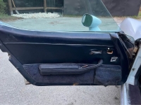 1979 Chevrolet Corvette for sale in Michigan (ID-126829)