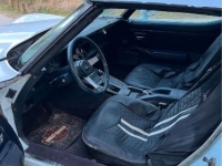 1979 Chevrolet Corvette for sale in Michigan (ID-126829)