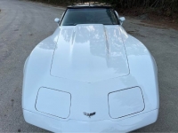 1979 Chevrolet Corvette for sale in Michigan (ID-126829)