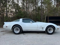 1979 Chevrolet Corvette for sale in Michigan (ID-126829)