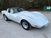 1979 Chevrolet Corvette for sale in Michigan (ID-126829)