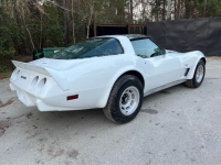 1979 Chevrolet Corvette for sale in Michigan (ID-126829)