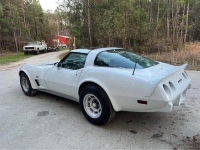 1979 Chevrolet Corvette for sale in Michigan (ID-126829)