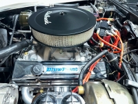 1979 Chevrolet Corvette for sale in Addison, Illinois (ID-126942)