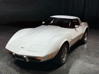 1979 Chevrolet Corvette for sale in Addison, Illinois (ID-126942)