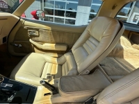 1979 Chevrolet Corvette for sale in Michigan (ID-128113)