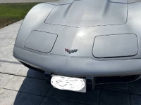1979 Chevrolet Corvette for sale in Michigan (ID-128531)