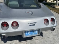 1979 Chevrolet Corvette for sale in Michigan (ID-128531)