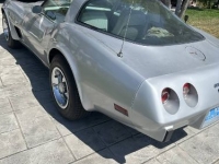 1979 Chevrolet Corvette for sale in Michigan (ID-128531)