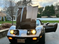 1979 Chevrolet Corvette for sale in Michigan (ID-130258)