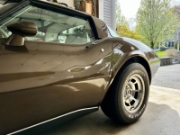 1979 Chevrolet Corvette for sale in Michigan (ID-130258)