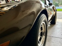 1979 Chevrolet Corvette for sale in Michigan (ID-130258)