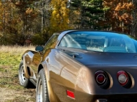 1979 Chevrolet Corvette for sale in Michigan (ID-130258)