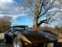 1979 Chevrolet Corvette for sale in Michigan (ID-130258)
