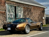 1979 Chevrolet Corvette for sale in Michigan (ID-130258)