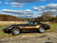 1979 Chevrolet Corvette for sale in Michigan (ID-130258)