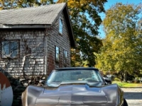 1979 Chevrolet Corvette for sale in Michigan (ID-130258)