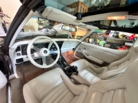 1979 Chevrolet Corvette for sale in Michigan (ID-130258)
