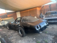 1979 Chevrolet Corvette for sale in Michigan (ID-130412)