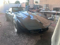 1979 Chevrolet Corvette for sale in Michigan (ID-130412)