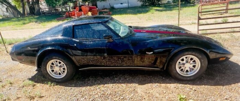 1979 Chevrolet Corvette for sale in Michigan (ID-130991)