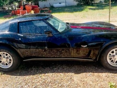 1979 Chevrolet Corvette for sale