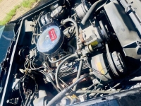 1979 Chevrolet Corvette for sale in Michigan (ID-130991)