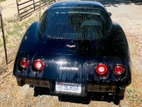 1979 Chevrolet Corvette for sale in Michigan (ID-130991)