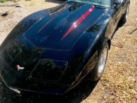 1979 Chevrolet Corvette for sale in Michigan (ID-130991)
