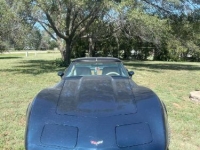 1979 Chevrolet Corvette for sale in Michigan (ID-131287)