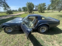 1979 Chevrolet Corvette for sale in Michigan (ID-131287)