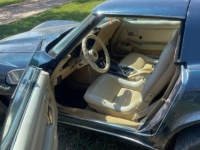 1979 Chevrolet Corvette for sale in Michigan (ID-131287)