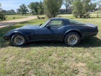 1979 Chevrolet Corvette for sale in Michigan (ID-131287)