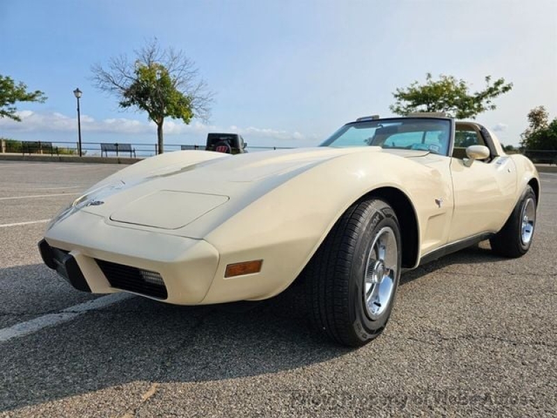 1979 Chevrolet Corvette for sale in Riverhead, New York (ID-133996)