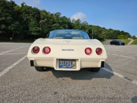 1979 Chevrolet Corvette for sale in Riverhead, New York (ID-133996)