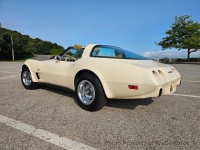 1979 Chevrolet Corvette for sale in Riverhead, New York (ID-133996)
