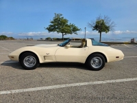 1979 Chevrolet Corvette for sale in Riverhead, New York (ID-133996)